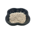 Rohmaterial Health Food wasserlösliches Chitosan-Pulver